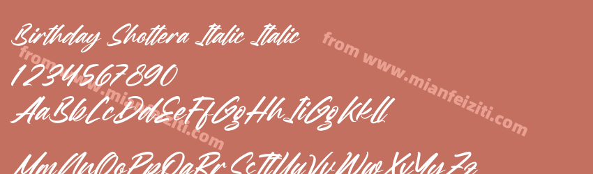 Birthday Shottera Italic Italic预览图1