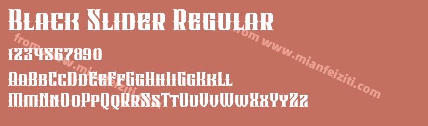 Black Slider Regular预览图1
