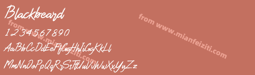 Blackbeard预览图1