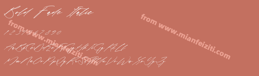 Bold Fade Italic预览图1