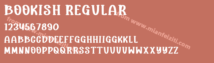 Bookish Regular预览图1 Bookish Regular预览图1
