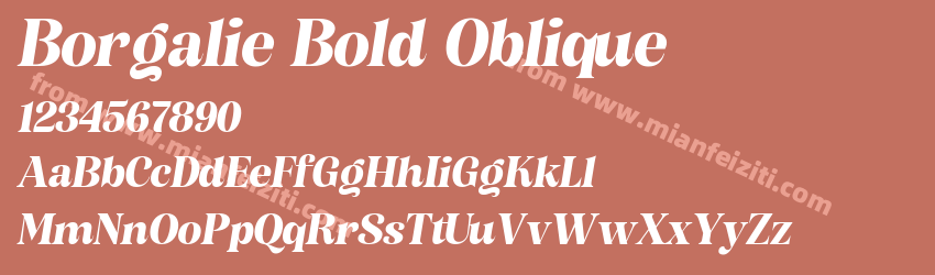 Borgalie Bold Oblique预览图1