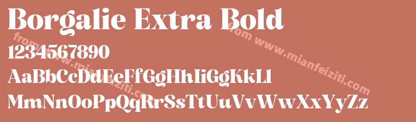 Borgalie Extra Bold预览图1