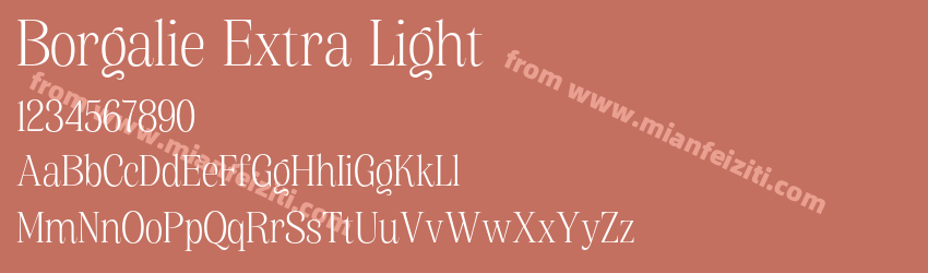 Borgalie Extra Light预览图1