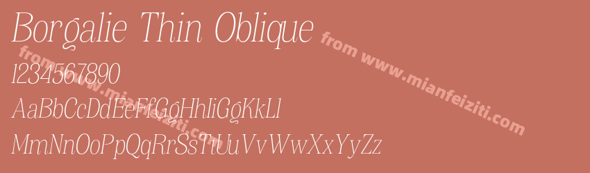 Borgalie Thin Oblique预览图1 Borgalie Thin Oblique预览图1