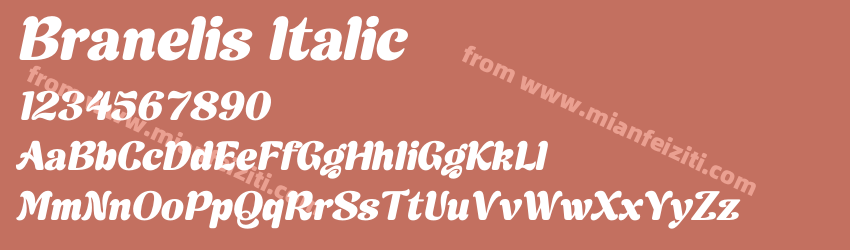 Branelis Italic预览图1