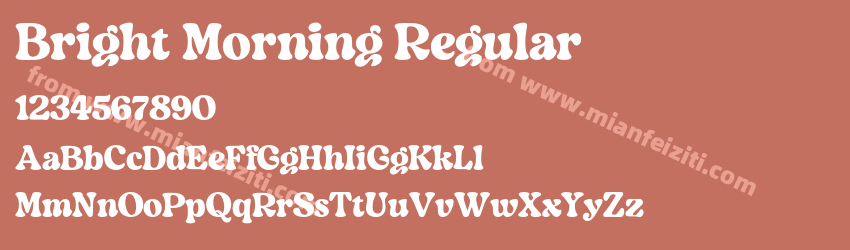 Bright Morning Regular预览图1 Bright Morning Regular预览图1