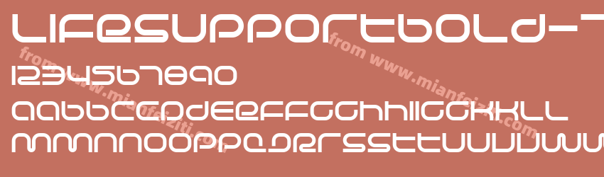 Life Support Bold 7OB4预览图1