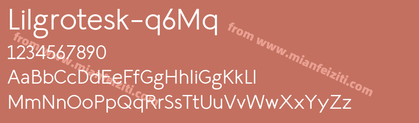Lil Grotesk Regular预览图1