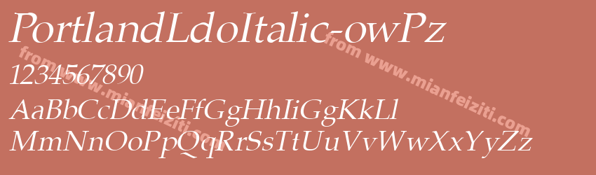 Portland Ldo Italic ow Pz预览图1