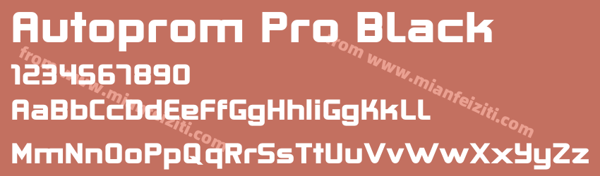 Autoprom Pro Black预览图1