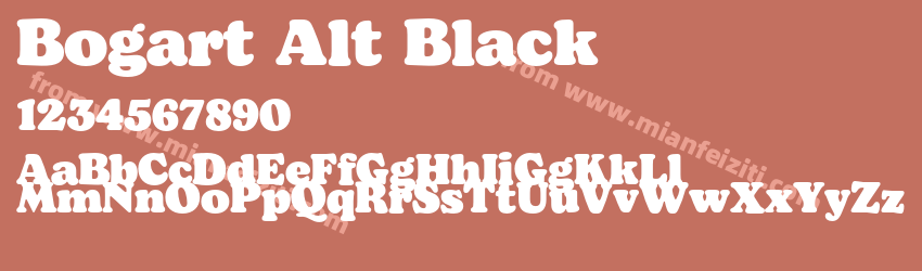Bogart Alt Black预览图1