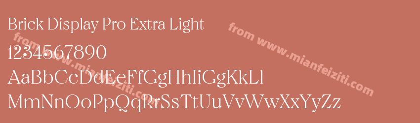 Brick Display Pro Extra Light预览图1