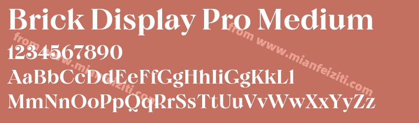 Brick Display Pro Medium预览图1