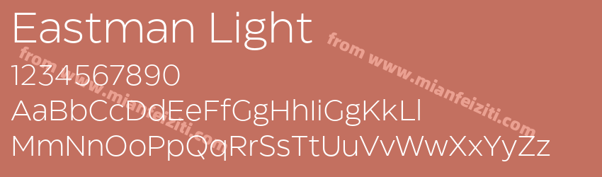 Eastman Light预览图1