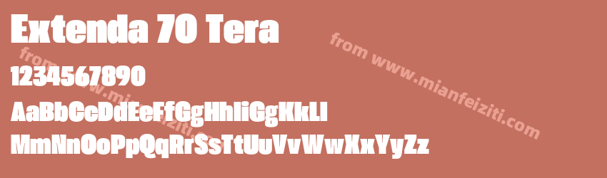Extenda 70 Tera预览图1