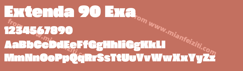 Extenda 90 Exa预览图1 Extenda 90 Exa预览图1