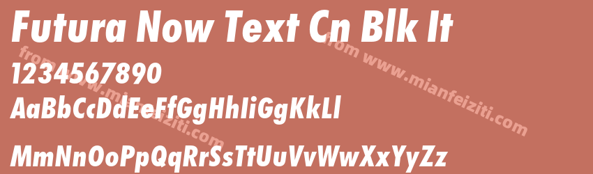 Futura Now Text Cn Blk It预览图1
