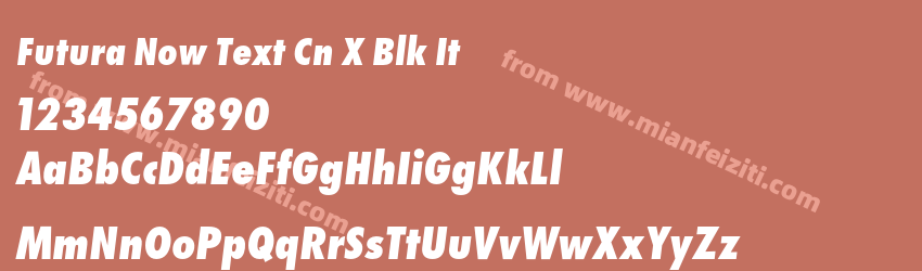 Futura Now Text Cn X Blk It预览图1