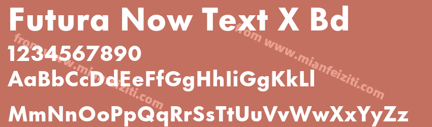 Futura Now Text X Bd预览图1 Futura Now Text X Bd预览图1