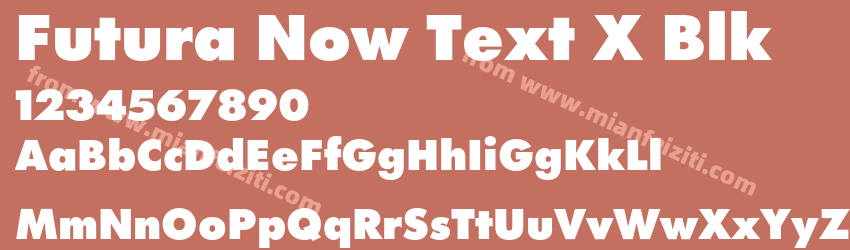 Futura Now Text X Blk预览图1