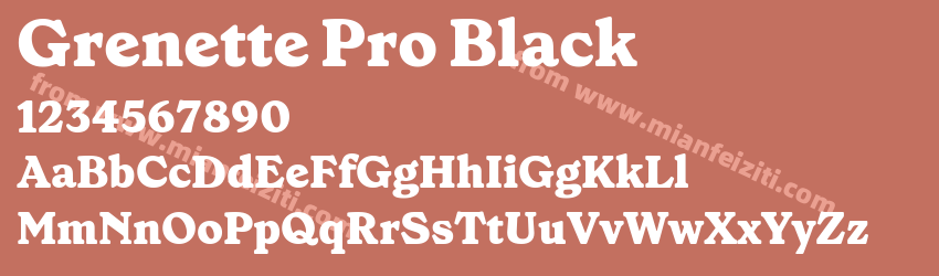 Grenette Pro Black预览图1