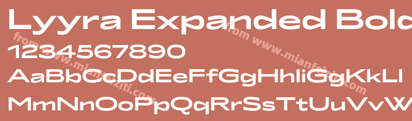 Lyyra Expanded Bold预览图1