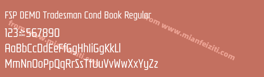 FSP DEMO Tradesman Cond Book Regular预览图1 FSP DEMO Tradesman Cond Book Regular预览图1