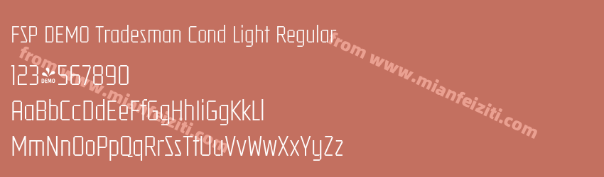 FSP DEMO Tradesman Cond Light Regular预览图1 FSP DEMO Tradesman Cond Light Regular预览图1