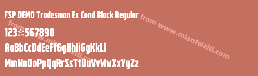 FSP DEMO Tradesman Ex Cond Black Regular预览图1 FSP DEMO Tradesman Ex Cond Black Regular预览图1