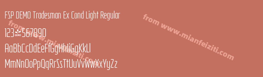 FSP DEMO Tradesman Ex Cond Light Regular预览图1 FSP DEMO Tradesman Ex Cond Light Regular预览图1