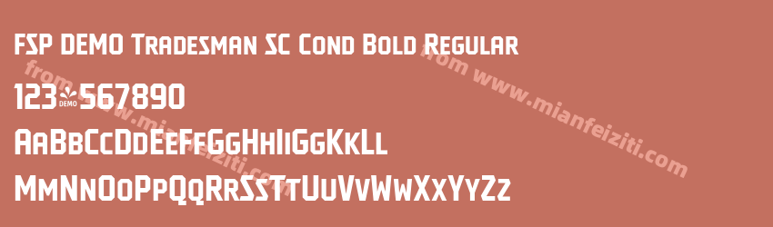 FSP DEMO Tradesman SC Cond Bold Regular预览图1 FSP DEMO Tradesman SC Cond Bold Regular预览图1
