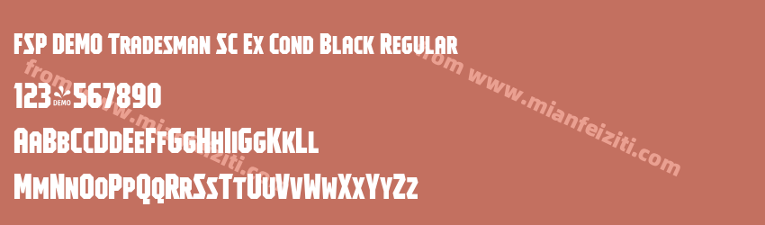 FSP DEMO Tradesman SC Ex Cond Black Regular预览图1 FSP DEMO Tradesman SC Ex Cond Black Regular预览图1
