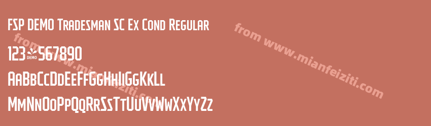 FSP DEMO Tradesman SC Ex Cond Regular预览图1 FSP DEMO Tradesman SC Ex Cond Regular预览图1