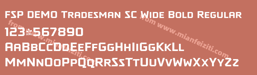 FSP DEMO Tradesman SC Wide Bold Regular预览图1 FSP DEMO Tradesman SC Wide Bold Regular预览图1