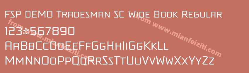FSP DEMO Tradesman SC Wide Book Regular预览图1 FSP DEMO Tradesman SC Wide Book Regular预览图1