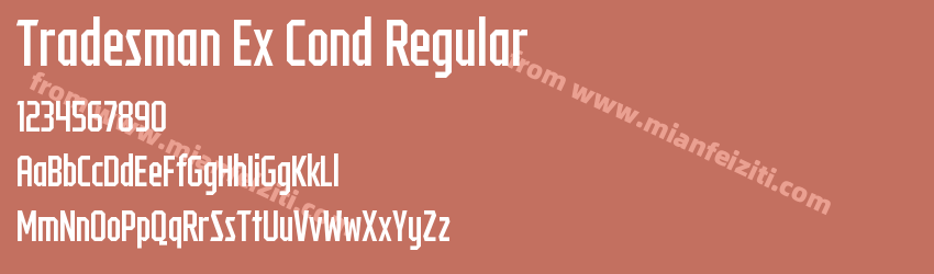 Tradesman Ex Cond Regular预览图1 Tradesman Ex Cond Regular预览图1