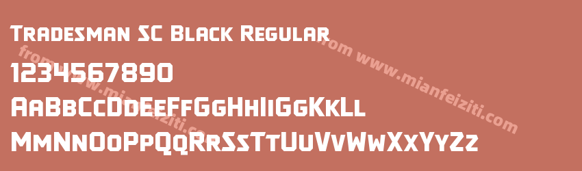 Tradesman SC Black Regular预览图1 Tradesman SC Black Regular预览图1