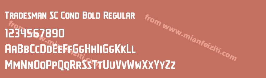 Tradesman SC Cond Bold Regular预览图1 Tradesman SC Cond Bold Regular预览图1