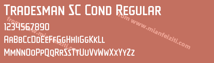 Tradesman SC Cond Regular预览图1 Tradesman SC Cond Regular预览图1