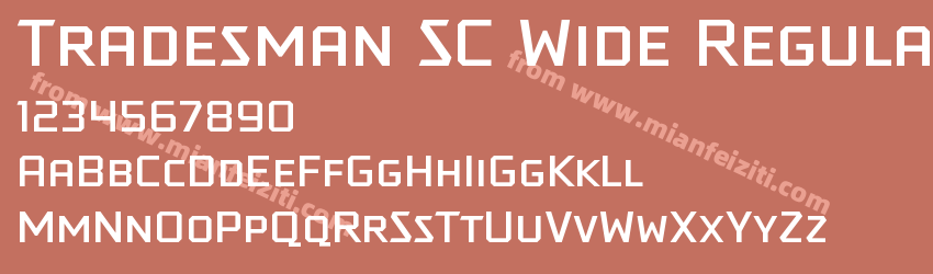 Tradesman SC Wide Regular预览图1 Tradesman SC Wide Regular预览图1
