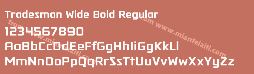 Tradesman Wide Bold Regular预览图1 Tradesman Wide Bold Regular预览图1