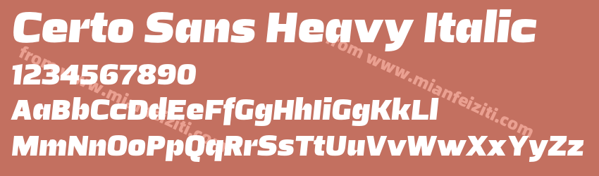 Certo Sans Heavy Italic预览图1