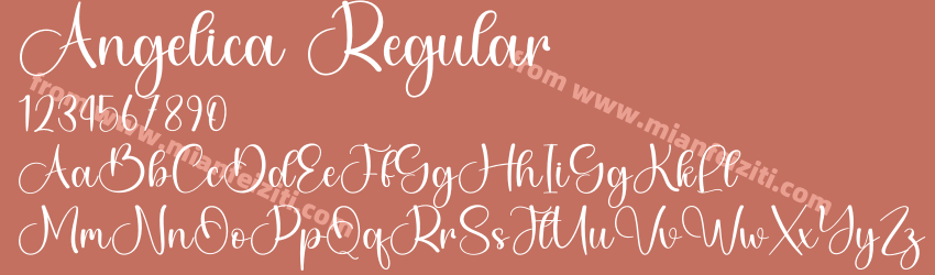Angelica Regular预览图1 Angelica Regular预览图1