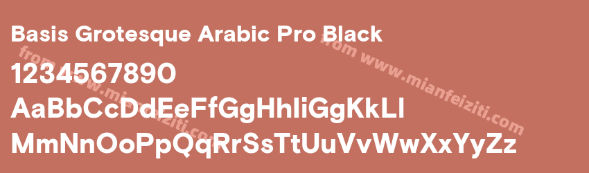 Basis Grotesque Arabic Pro Black预览图1 Basis Grotesque Arabic Pro Black预览图1