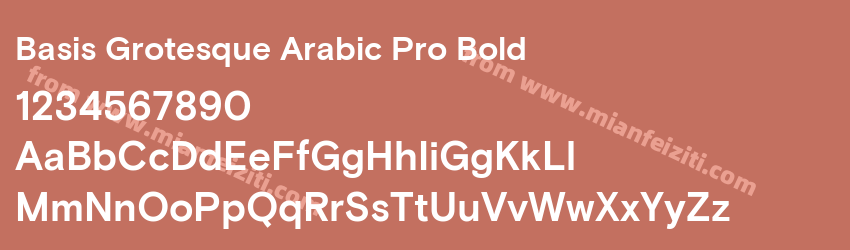Basis Grotesque Arabic Pro Bold预览图1 Basis Grotesque Arabic Pro Bold预览图1