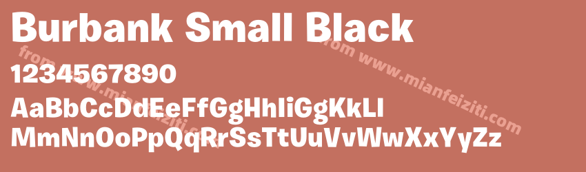 Burbank Small Black预览图1 Burbank Small Black预览图1