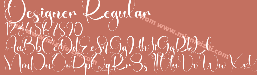 Designer Regular预览图1 Designer Regular预览图1