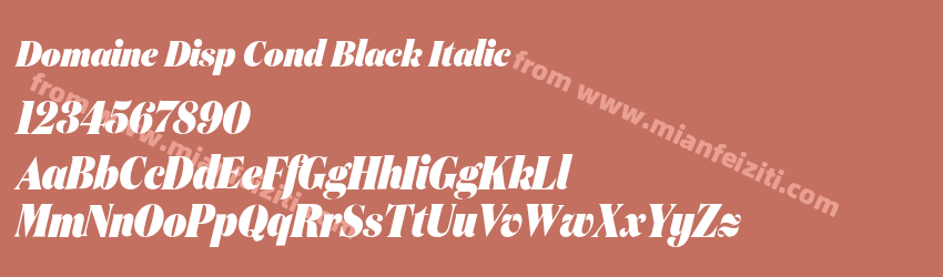 Domaine Disp Cond Black Italic预览图1 Domaine Disp Cond Black Italic预览图1
