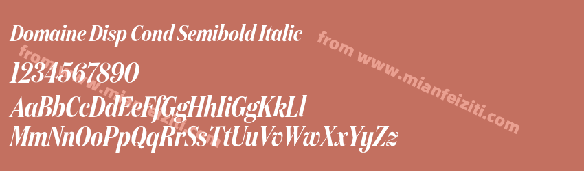 Domaine Disp Cond Semibold Italic预览图1 Domaine Disp Cond Semibold Italic预览图1
